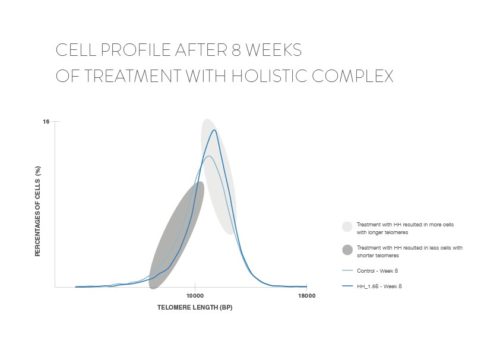 Holistic Complex 