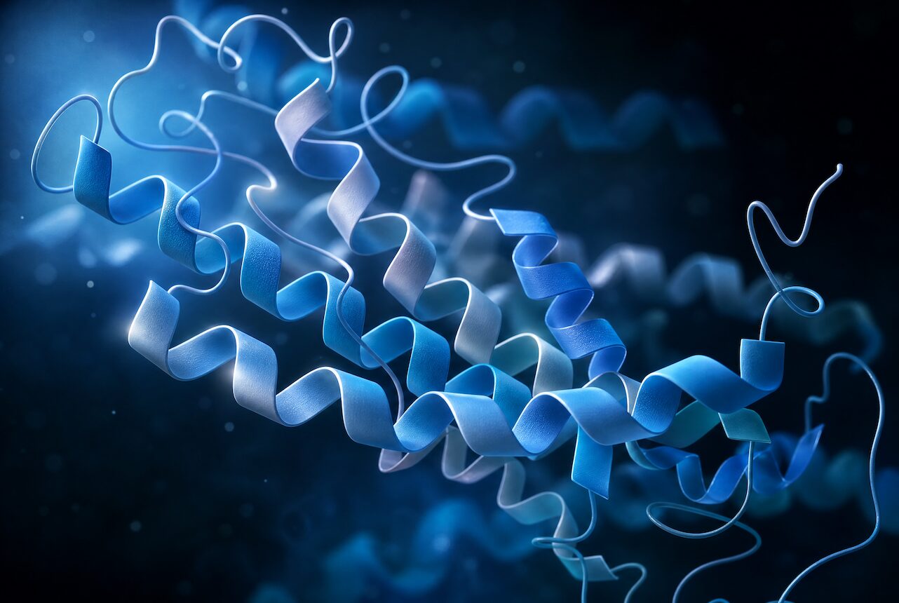 Rethinking Protein for Longevity - Holistic Health