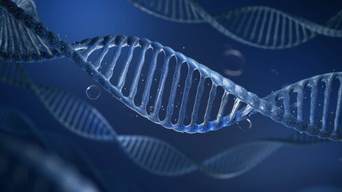 Epigenetic Clocks - Holistic Health