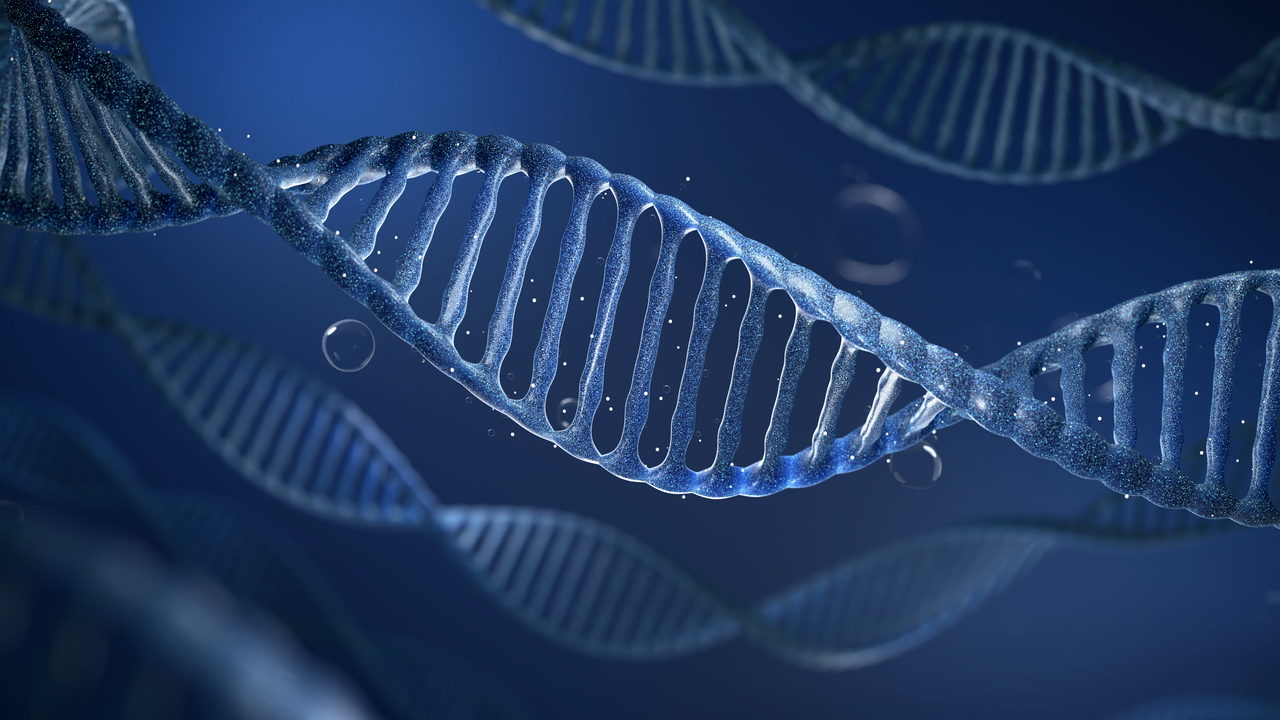 Epigenetic Clocks - Holistic Health